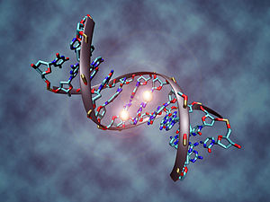 Illustration for article titled The Top 10 Claims Made by Creationists to Counter Scientific Theories